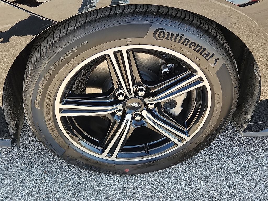 2025 Ford Mustang EcoBoost Premium Fastback