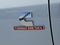 2026 RAM 2500 RAM 2500 TRADESMAN CREW CAB 4X4 6'4' BOX