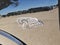 2027 RAM Ram 1500 RAM 1500 LONE STAR CREW CAB 4X4 5'7' BOX